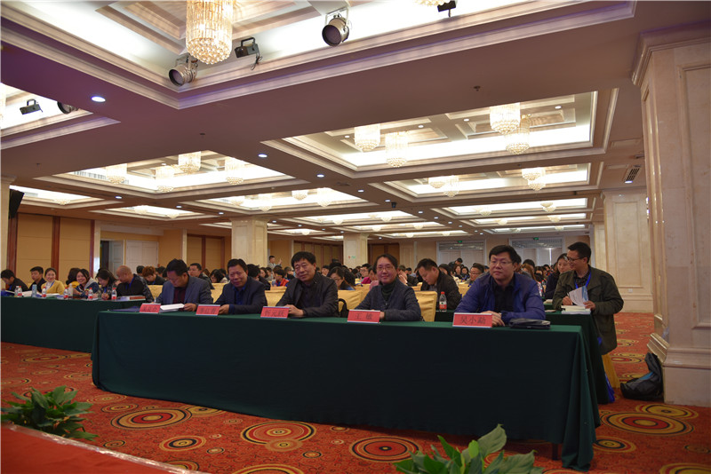 1491376010338532.jpg DSC_3117.JPG