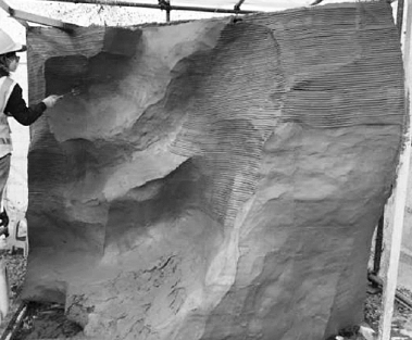 1658364910469175.png image.png