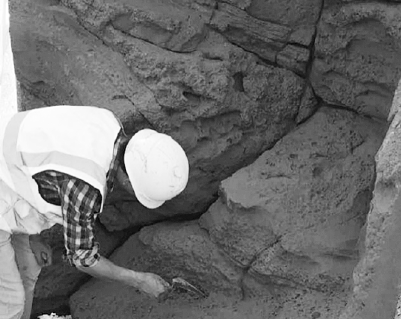 1658364921110630.png image.png