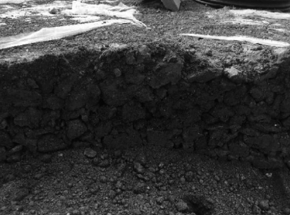 1658365446942525.png image.png