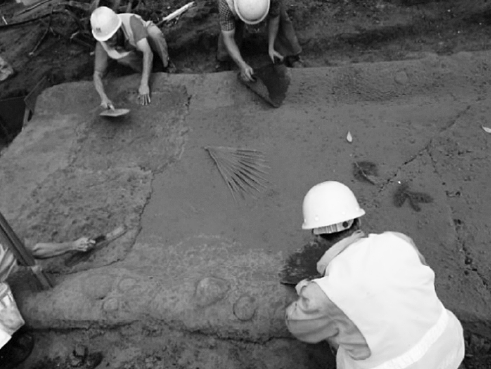 1658370239111577.png image.png