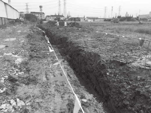 1667198346126672.png 图片.png