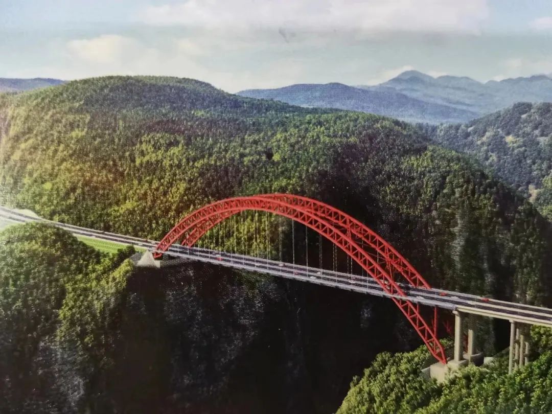 1691029238129220.jpg 5.jpg