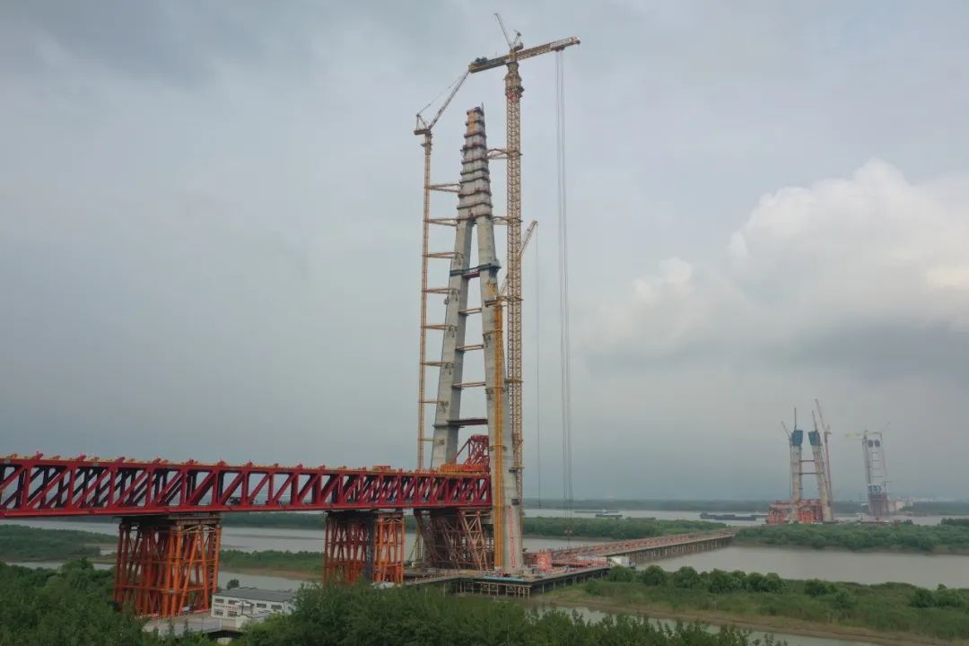 1692157514713768.jpg 1.jpg