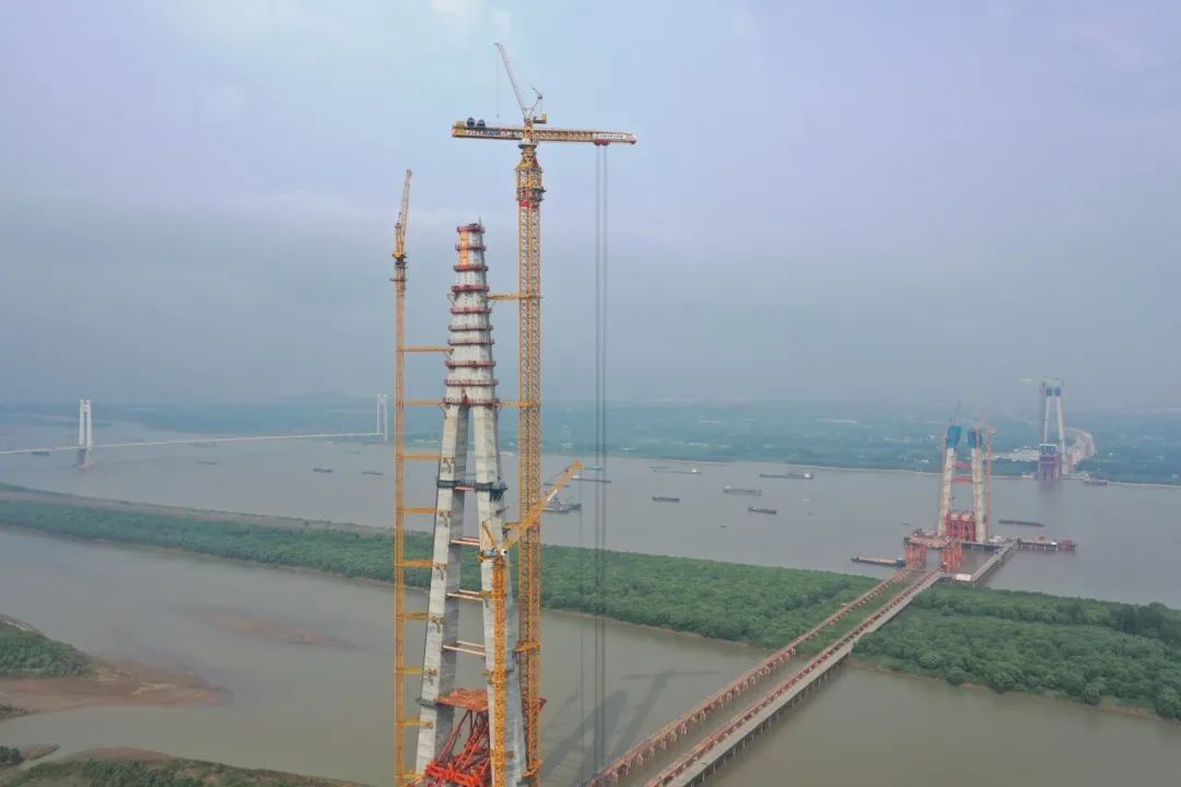 1692157577359057.jpg 5.jpg