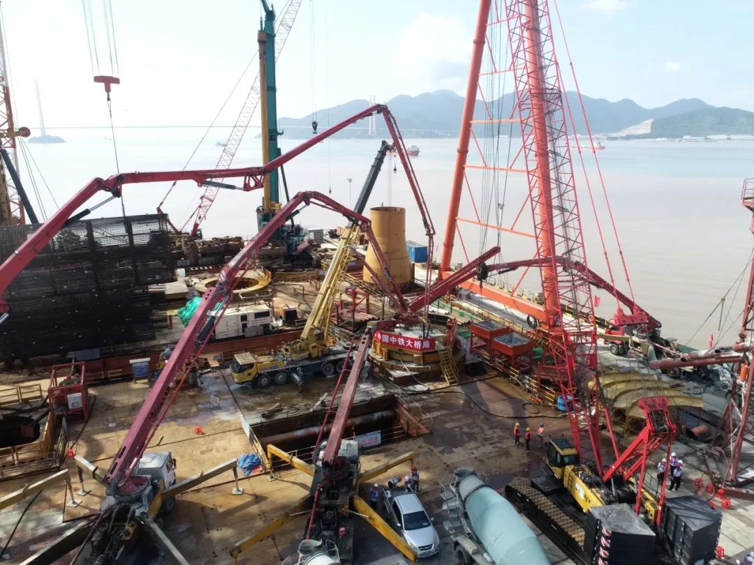 1692158004913908.jpg 2.jpg