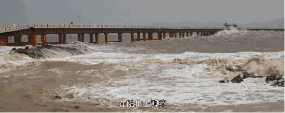 1692844949103185.gif 640 (1).gif