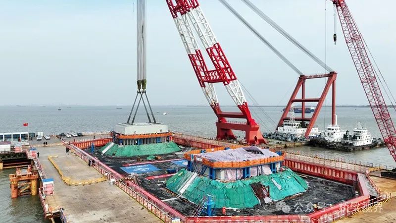 1709601042576496.jpg 640.jpg