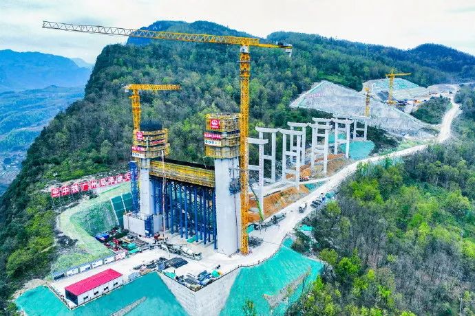 1711587686756842.jpg 344g.jpg