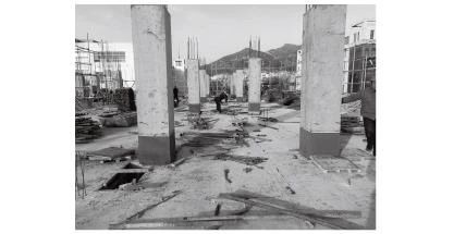 1723616785696125.jpg 3.jpg