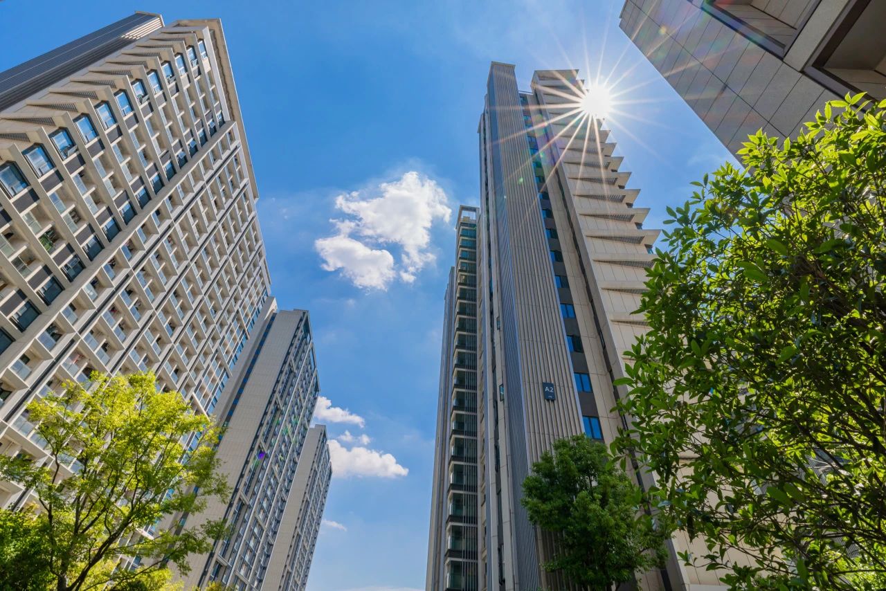 1724210358126728.jpg 1724210358126728.jpg