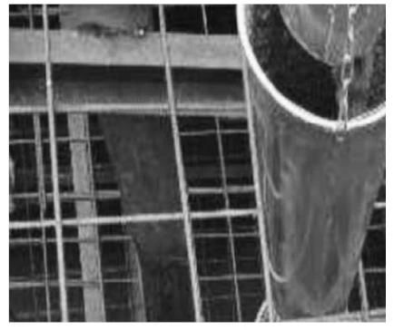 1729392602134362.jpg 7.jpg