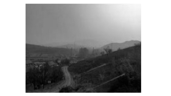 1732171677126857.png 3.png