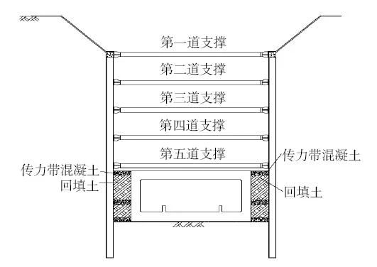 1732175168259911.jpg 3.jpg