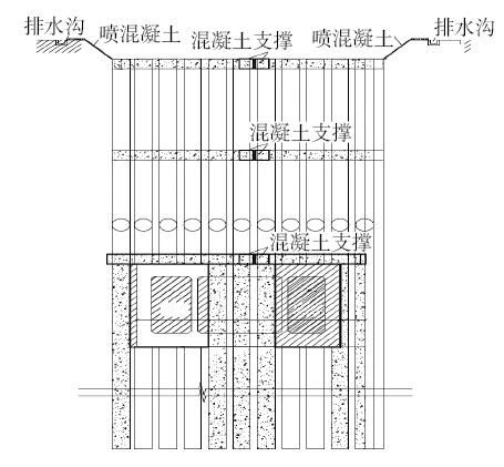 1732175217556573.jpg 8.jpg