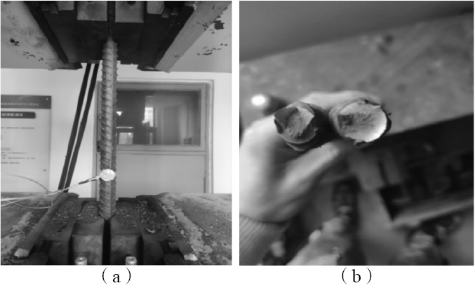 1734594566508678.png 1.png