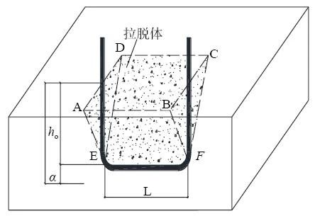 1737007469168426.jpg 5.jpg