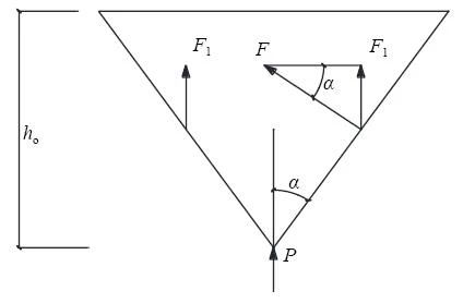 1737007500110828.jpg 6.jpg