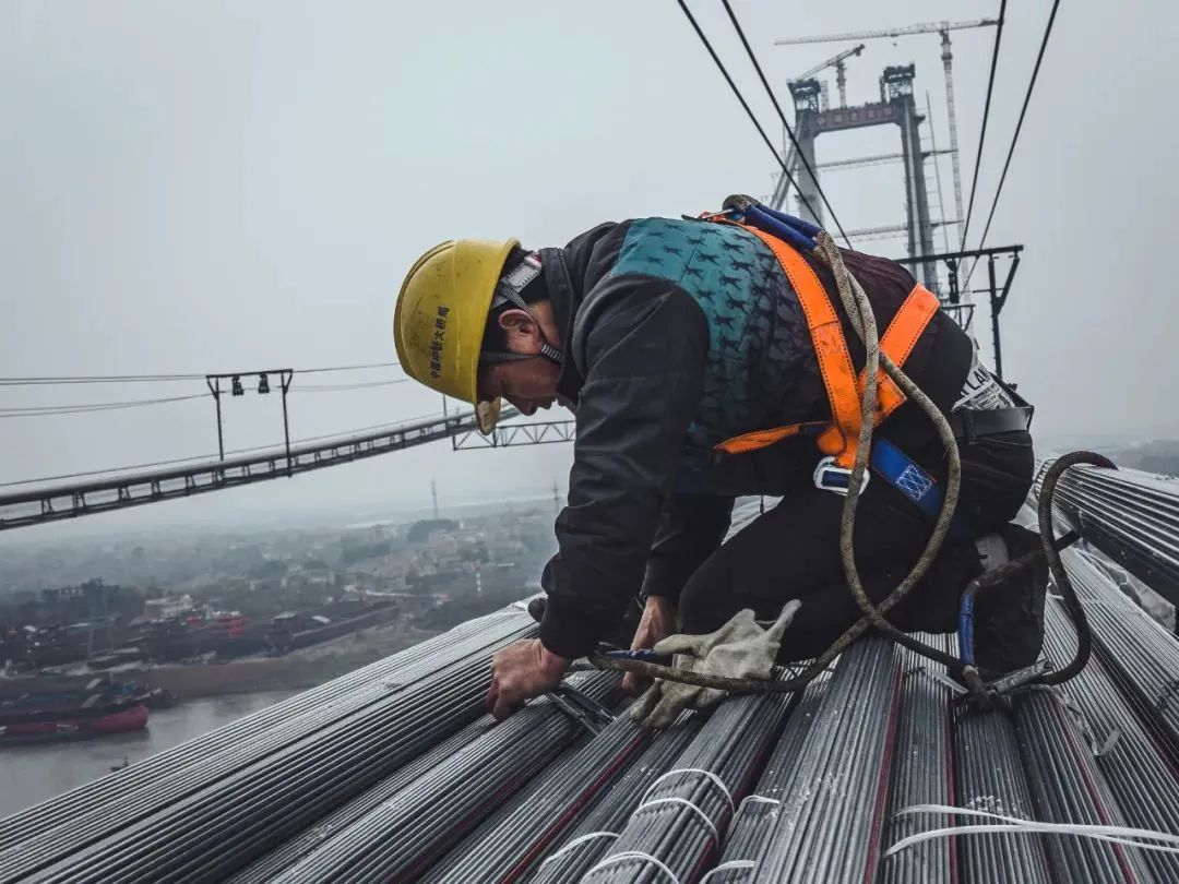 1741740873570730.jpg 640 (4).jpg