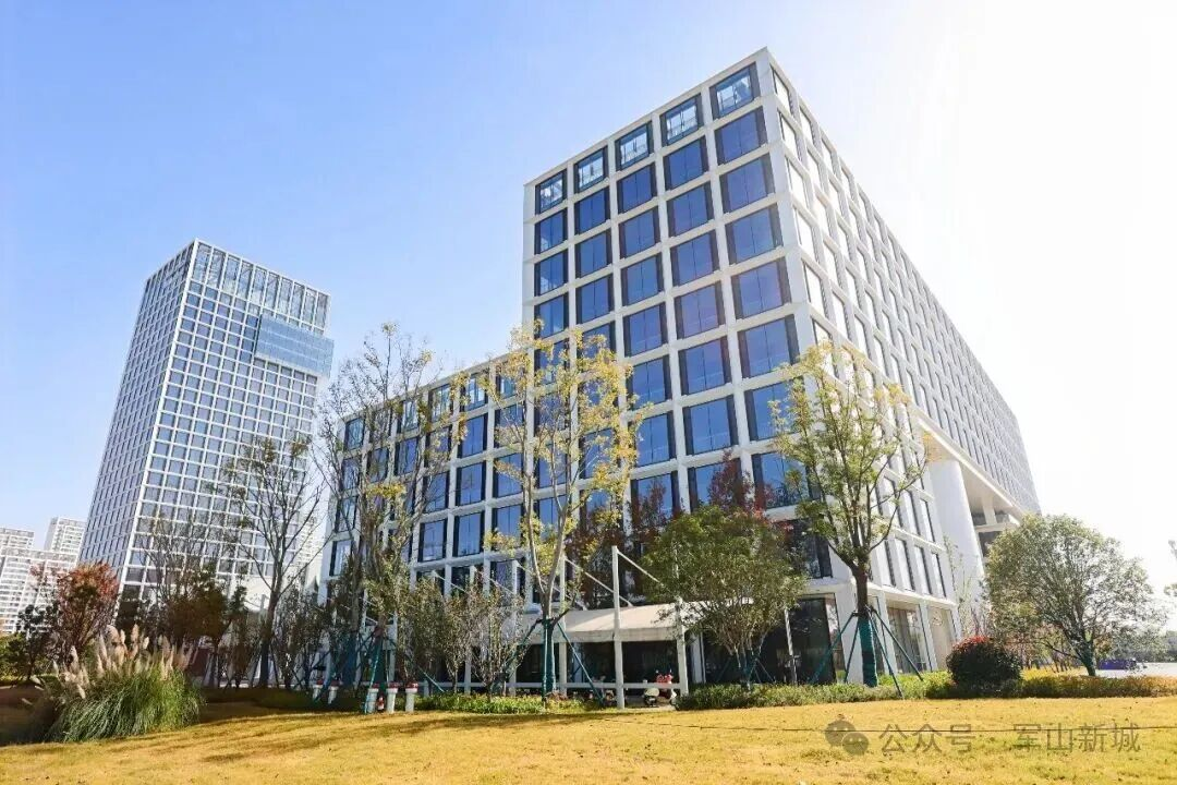 1765413333124202.png 1765413333124202.png