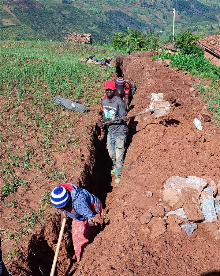 点击查看高清原图 点击查看高清原图