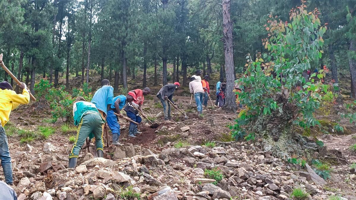 点击查看高清原图 点击查看高清原图