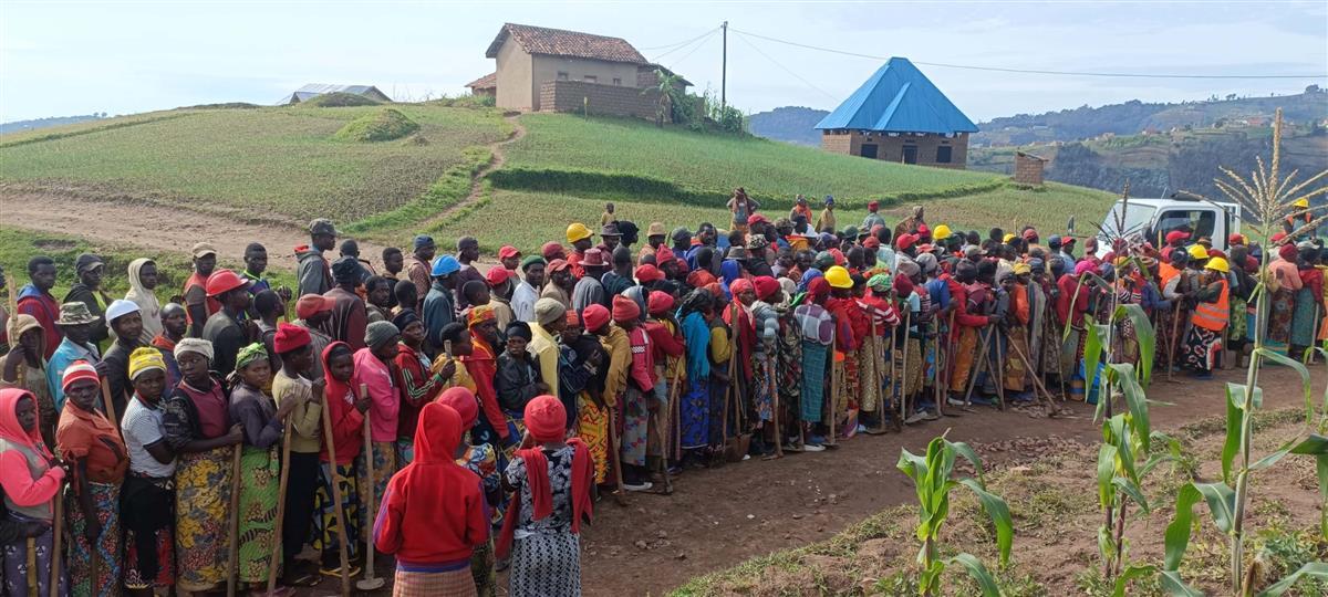 点击查看高清原图 点击查看高清原图